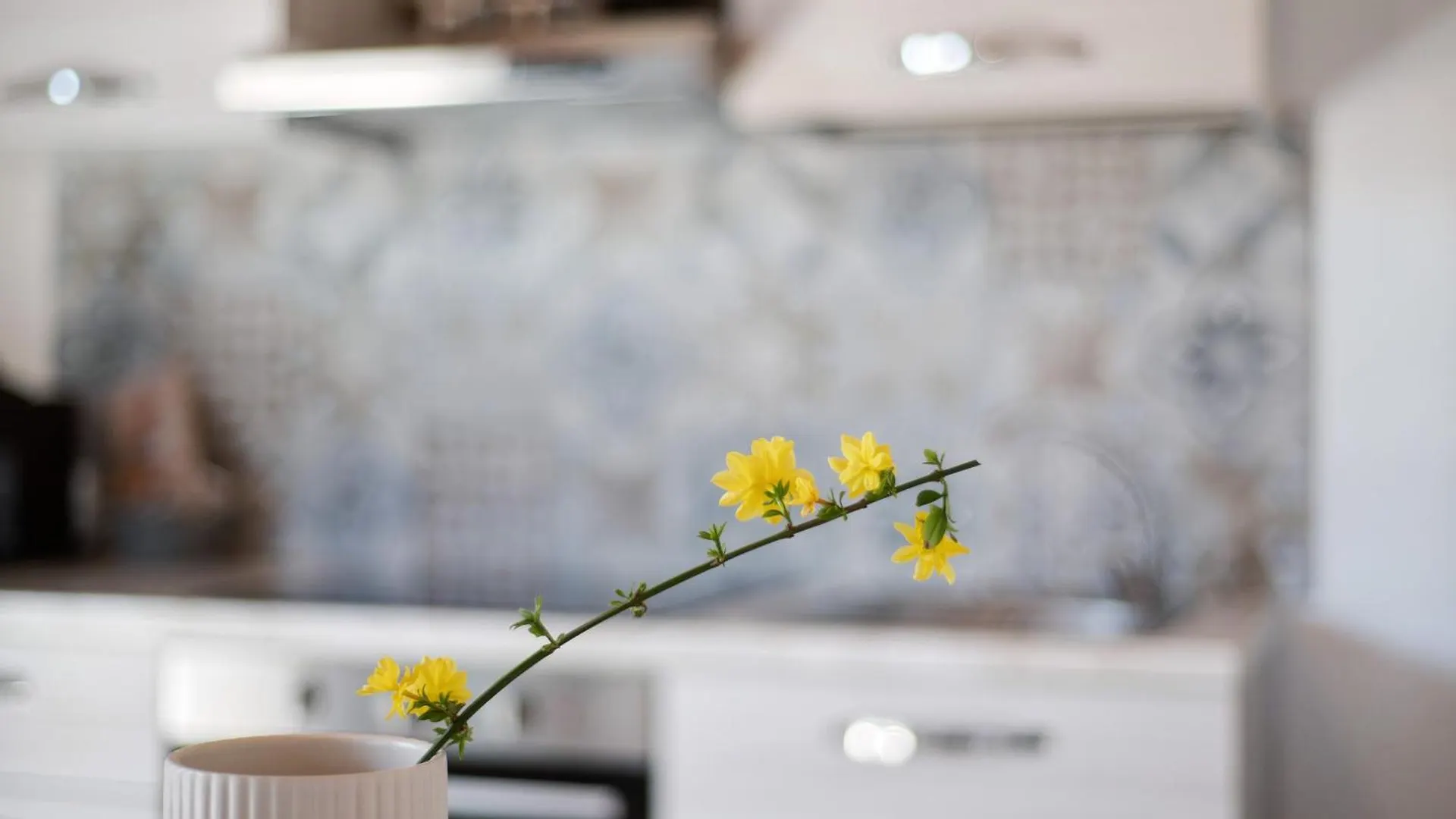 Appartamenti Villafiorito Lazise Holiday home